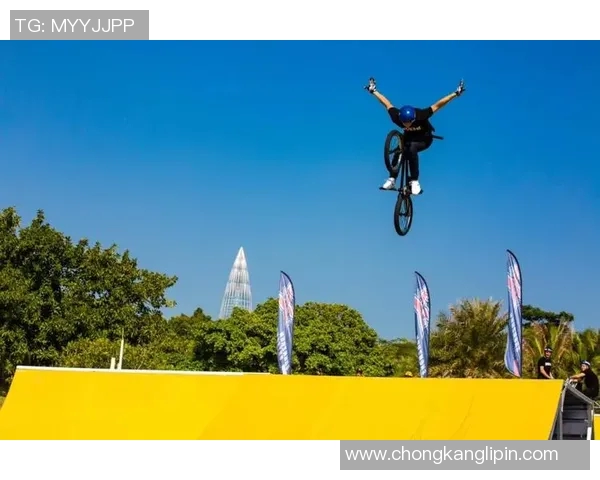 极限运动战术探秘南京极限运动队的运营与发展模式分析MBA