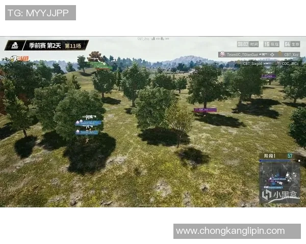 最新CSGO节奏排行榜出炉RNG战队强势领跑前十名