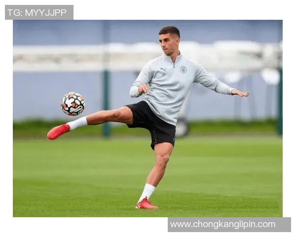 费兰托雷斯的崛起之路：从青训新星到足球世界的闪耀之星